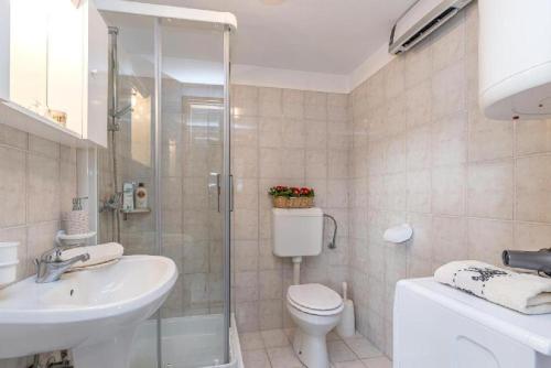 y baño con aseo, lavabo y ducha. en Holiday house Črni Kal - Pri Roktovih, en Črni Kal