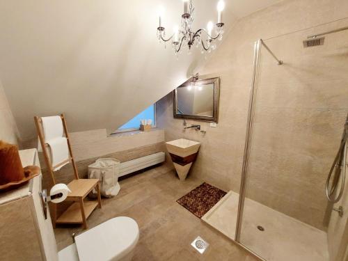 een badkamer met een douche, een toilet en een kroonluchter bij Villa Rory in Bled