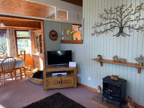 a living room with a flat screen tv on a wooden stand at Caban Coetir in Cenarth