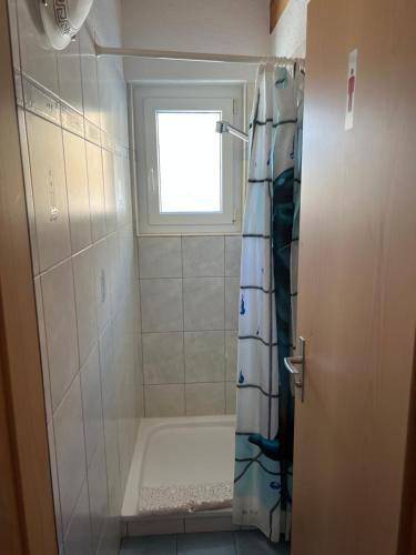bagno con doccia e finestra di Berghotel Furggstalden a Saas-Almagell