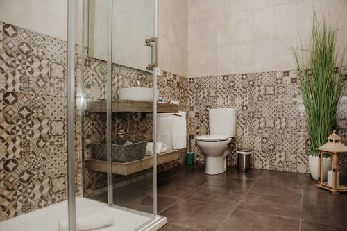 a bathroom with a shower and a toilet at Hospedium Aloque BOUTIQUE PLAZA in Valdepeñas