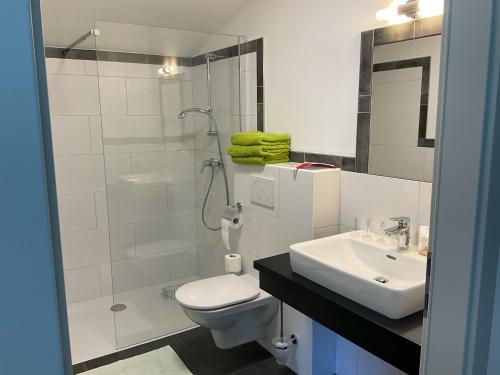 een badkamer met een toilet, een wastafel en een douche bij Göllerblick in Kernhof