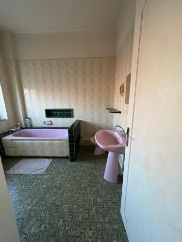 een badkamer met een roze bad en een wastafel bij L’ÉMERAUDE 2 in Châlons-en-Champagne