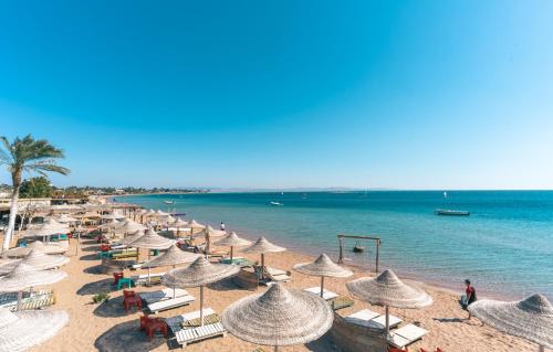 Ganet Sinai Resort – Photos 2