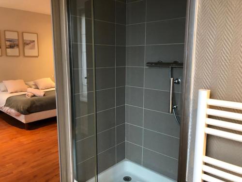 een douche met een glazen deur in de badkamer bij Studio Brest centre ville, 3ème étage sans ascenseur in Brest