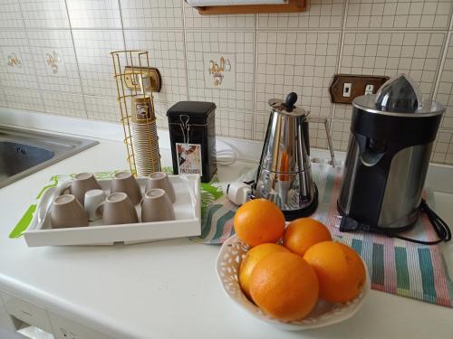 a bowl of oranges on a kitchen counter with a blender at La Casa di Tino in Fontanellato