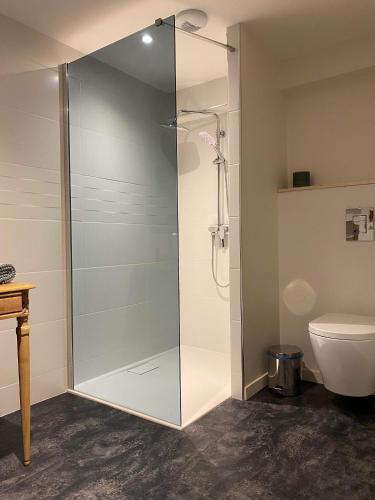 La salle de bains est pourvue d'une douche en verre et de toilettes. dans l'établissement Appartement 3 étoiles tout confort et spacieux en campagne bourguignonne, à Mancey