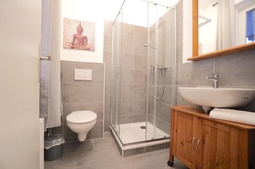 a bathroom with a shower and a toilet and a sink at Apartment THOR am Schleswiger Dom in Schleswig
