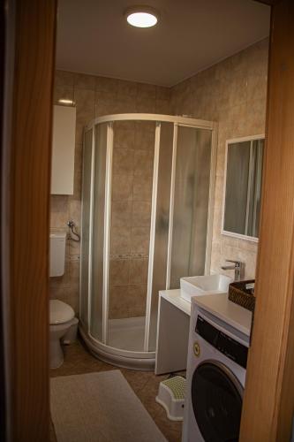 a bathroom with a shower and a toilet and a sink at DEMI108 - Terme čatež in Čatež ob Savi