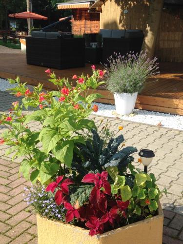 a garden with flowers and plants in a box at Hotel zur Kanone in Tautenhain