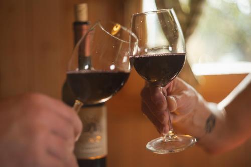Due persone che tengono in mano bicchieri di vino rosso di Vacation House Jurček a Radovljica