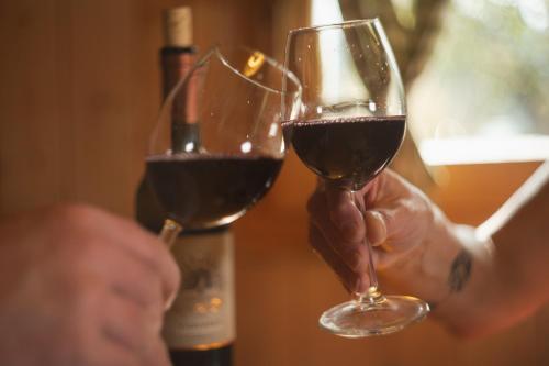 twee mensen die een glas rode wijn omhoog houden bij Vacation House Jurček in Radovljica