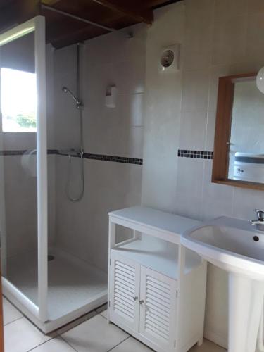 a white bathroom with a shower and a sink at Le Domaine du Cerf Blanc in Carentoir