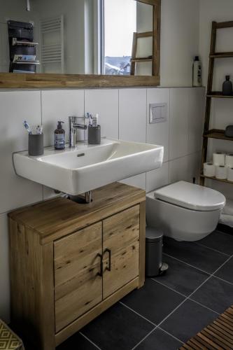 a bathroom with a sink and a toilet at Williadukt in Willingen