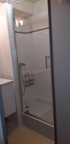 une douche avec une porte vitrée dans une salle de bain dans l'établissement Montagne Ariégeoise, à Aulus-les-Bains
