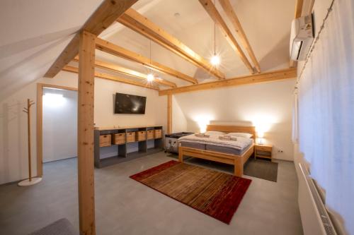 um quarto com uma cama e uma televisão num quarto em Apartmány U Jizery em Turnov