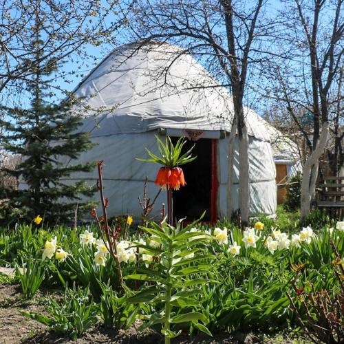 Karakol Yurt Lodge
