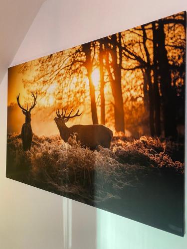 a painting of two deer in a forest at Apartment am Park in Bad Lauterberg
