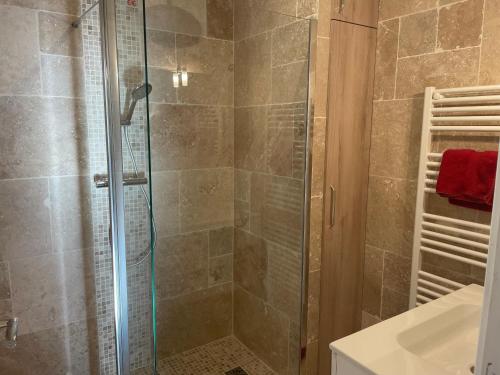 une salle de bain avec une douche avec une porte vitrée dans l'établissement Très bel appartement dijonnais place Wilson GUTEMBERT, à Dijon