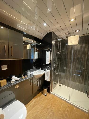 a bathroom with a shower and a sink and a toilet at The Annexe at Rauldon in Inverness