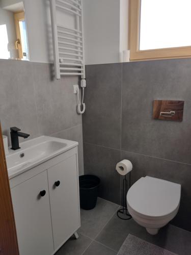 a bathroom with a white sink and a toilet at Na Południe in Białka Tatrzańska