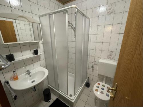 a bathroom with a shower and a toilet and a sink at Relaxen am Ring Fewo 2 in Wimbach