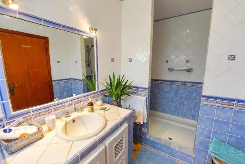 a bathroom with a sink and a mirror and a shower at Quinta das Achadas - Mimosa in Lagos