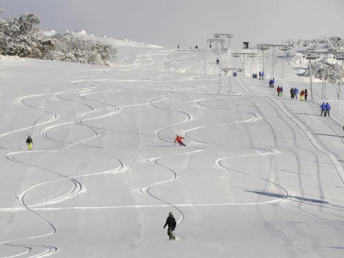 Gallery image of Perisher Manor Hotel in Perisher Valley