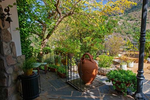 Zahrada ubytování Posada Real Quinta de la Concepción