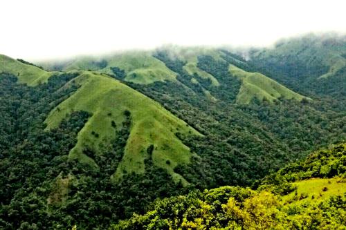 auliculiculiculiculiculiculiculiculiculiculiculiculiculiculic at Sirimane Homestay - Swimming Pool, Food, Near to Falls & Trek in Sakleshpur