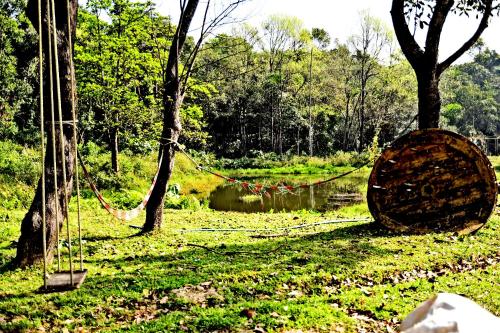 a hammock hanging between two trees in a field at Sirimane Homestay - Swimming Pool, Food, Near to Falls & Trek in Sakleshpur
