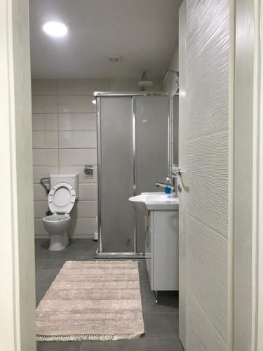ノヴィ・パザルにあるGreen Apartmentのバスルーム(トイレ、シャワー、シンク付)