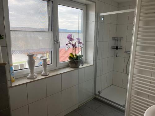 Ferienwohnung zum Spessart في لور: حمام مع دش ونافذة