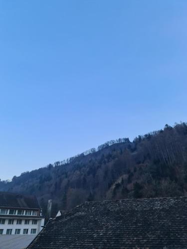 a mountain in the distance with houses and trees at Esos Hotel Quelle in Bad Ragaz