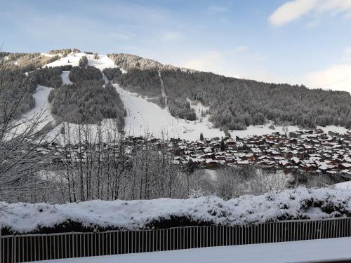 Morzine - Charmant appartement vue panoramique - piscine été - parking - LES FAYARDS