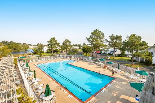 an overhead view of a pool with chairs and umbrellas at Mallard Lakes -- 158 Cardinal in Fenwick Island
