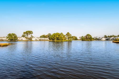 a view of a large lake with houses and trees at Mallard Lakes -- 158 Cardinal in Fenwick Island