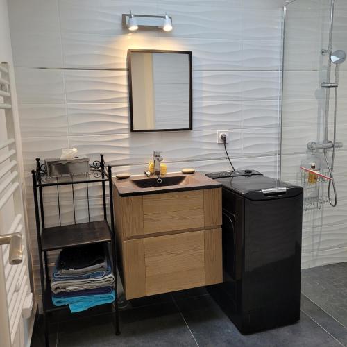 une salle de bain avec un lavabo et un miroir dans l'établissement Albizia rouge - Gîte de charme à la campagne, à Galgon