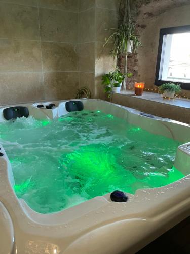 y baño con bañera llena de agua verde. en Chateau de la Saone, en Lens-Lestang