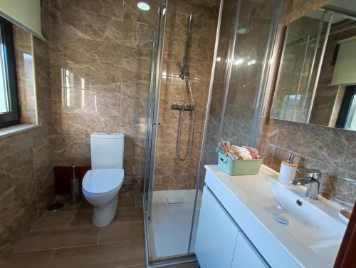 a bathroom with a toilet and a shower and a sink at Casa Corredoura in Ponte de Lima