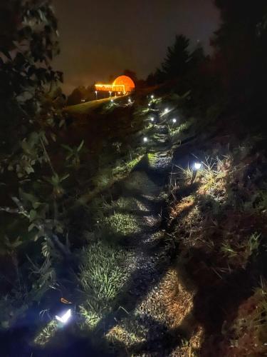 a christmas tree farm at night with lights at Glamping el Porvenir RNT 10601 in Manta