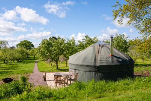 a tent with a table and chairs in a field at Dragon Orchard Retreat in Ledbury