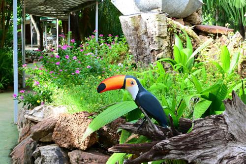a colorful bird sitting on a branch in a garden at Hotel Sesi Aruana in Aruanã