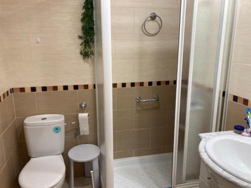 uma casa de banho com um WC, um lavatório e um chuveiro em Apartamento La Piedra em Matalascañas