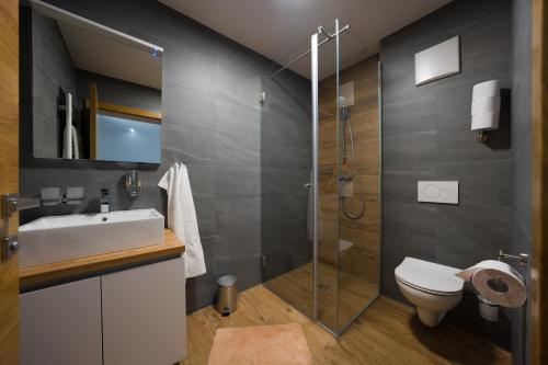 La salle de bains est pourvue d'une douche, d'un lavabo et de toilettes. dans l'établissement Austrian Apartments, à Bad Goisern
