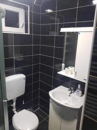 a black tiled bathroom with a toilet and a sink at Family Apartmani Le in Leskovac