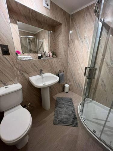 a bathroom with a toilet and a sink and a shower at Delightful, central 3 bedroom house with garden & free parking in Inverness
