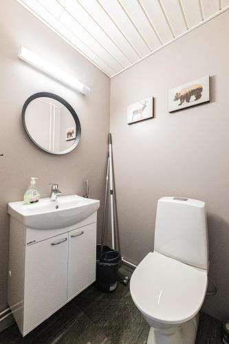 a bathroom with a toilet and a sink and a mirror at SleepWell House Pyhätunturi with Sauna close to lake in Pelkosenniemi