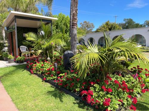 a garden with flowers and palm trees and a house at Mulwala Resort in Mulwala