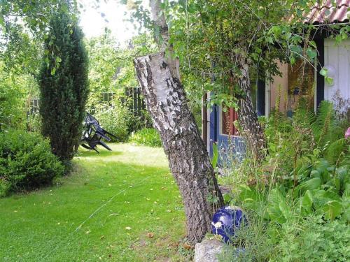a tree in the yard next to a house at 2 person holiday home in Garsnäs-By Traum in Gärsnäs